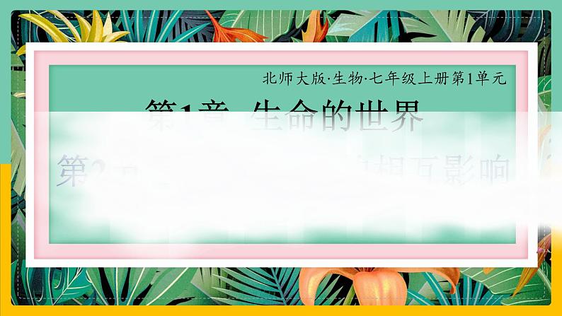 1.2 《生物与环境的相互影响》课件PPT+教案+同步练习01