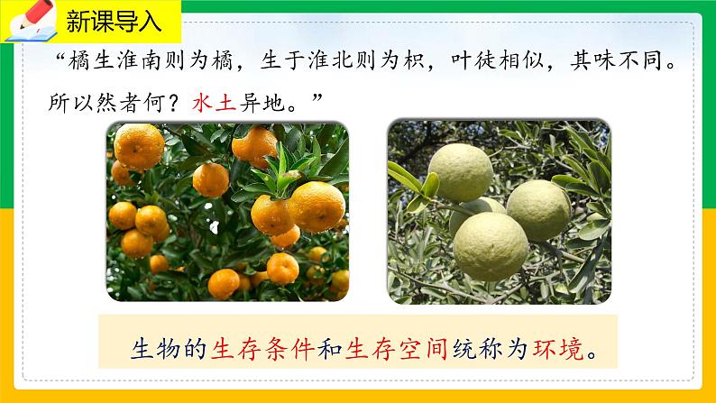 1.2 《生物与环境的相互影响》课件PPT+教案+同步练习02