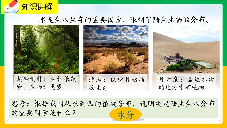 1.2 《生物与环境的相互影响》课件PPT+教案+同步练习06