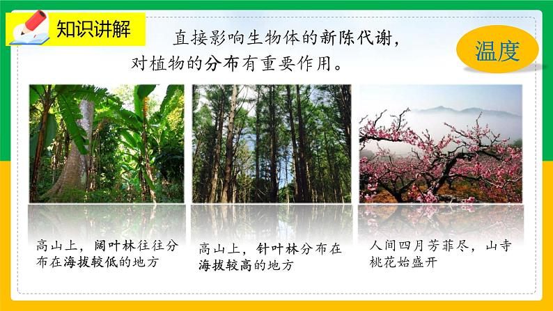 1.2 《生物与环境的相互影响》课件PPT+教案+同步练习08