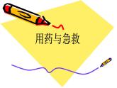 人教版八下生物  8.2用药与急救 课件