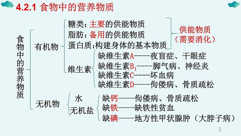 七年级下册知识默写-【临考必背】备战2022年中考生物知识点默写与背诵（人教版）课件PPT第3页