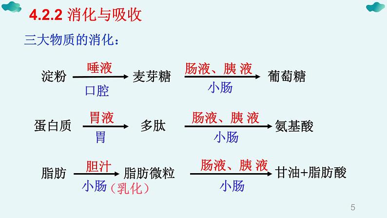 七年级下册知识默写-【临考必背】备战2022年中考生物知识点默写与背诵（人教版）课件PPT第5页