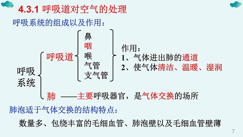 七年级下册知识默写-【临考必背】备战2022年中考生物知识点默写与背诵（人教版）课件PPT第7页