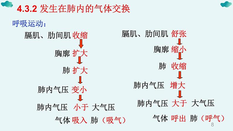 七年级下册知识默写-【临考必背】备战2022年中考生物知识点默写与背诵（人教版）课件PPT第8页