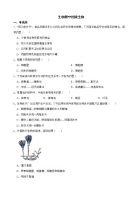 吉林省中考生物三年真题模拟题汇编 生物圈中的微生物解析版