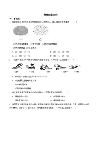 2022届中考生物二轮复习测试专题 细胞观察实验解析版