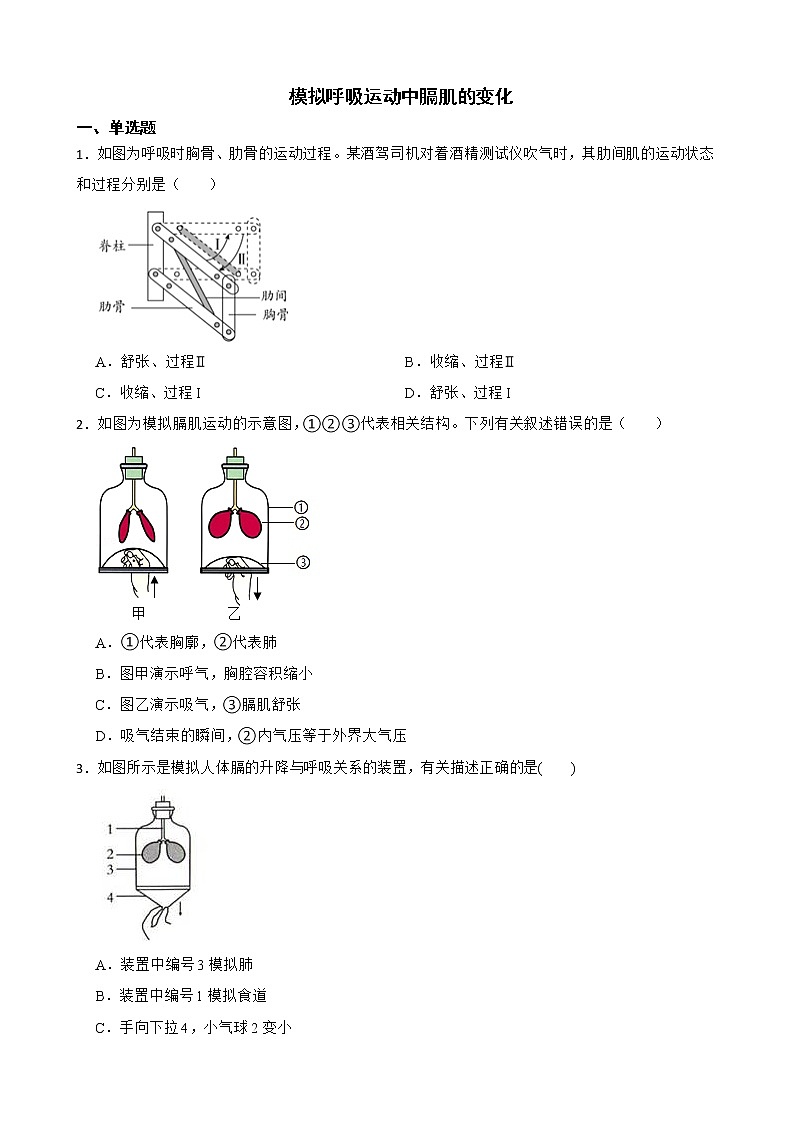 中考生物实验专项复习 模拟呼吸运动中膈肌的变化解析版 试卷练习01