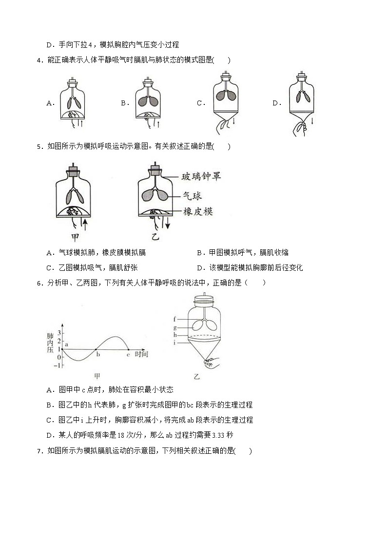 中考生物实验专项复习 模拟呼吸运动中膈肌的变化解析版 试卷练习02