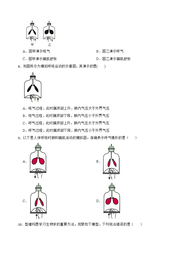 中考生物实验专项复习 模拟呼吸运动中膈肌的变化解析版 试卷练习03