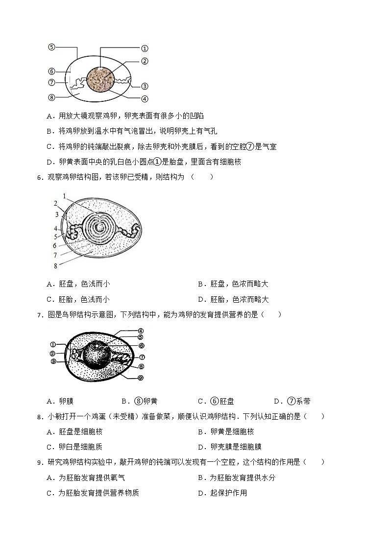 中考生物实验专项复习 观察鸡卵的结构解析版 练习02