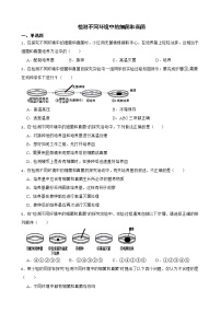 中考生物实验专项复习 检测不同环境中的细菌和真菌解析版