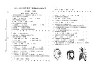 甘肃省庆阳市镇原县庙渠初级中学2021-2022学年七年级下学期期中考试生物试题（含答案）