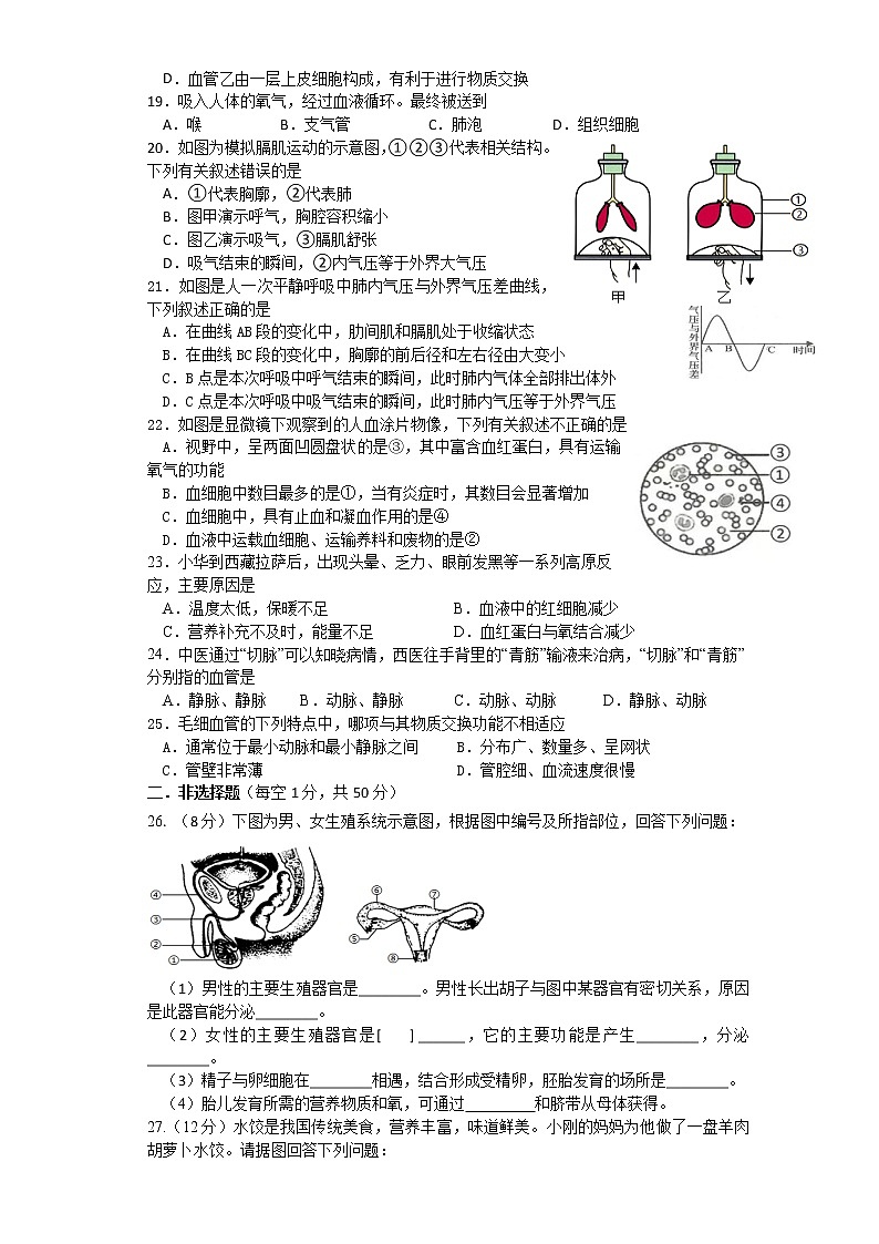 山东省临沂市平邑县2021-2022学年七年级下学期期中考试生物试题（含答案）第3页