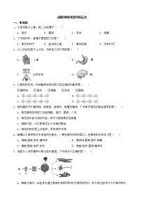 2022届中考生物二轮复习测试专题 动植物体的结构层次解析版