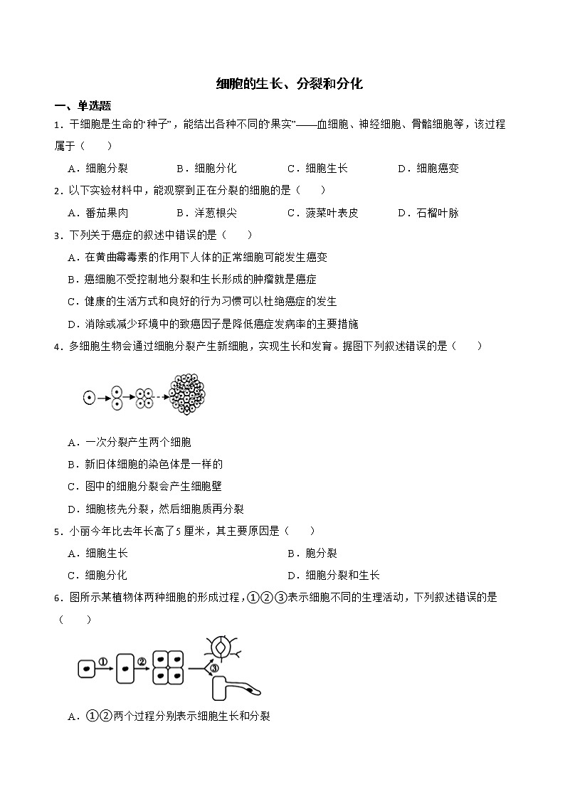 2022届中考生物二轮复习测试专题 细胞的生长、分裂和分化解析版第1页