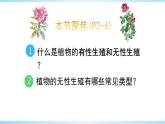 八下植物的生殖课件PPT