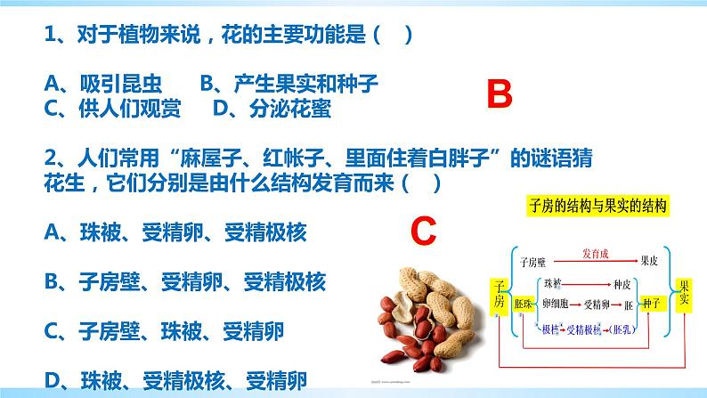 八下植物的生殖课件PPT08