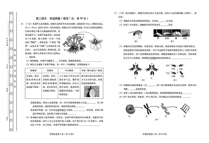 2022年北京大兴初二一模生物试卷含答案03