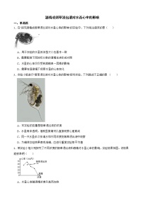 中考生物实验专项复习 酒精或烟草浸出液对水蚤心率的影响解析版