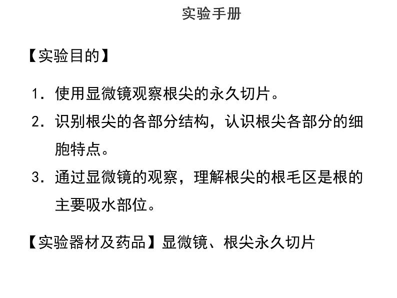 实验二使用显微镜观察根尖永久切片--2022年中考生物实验手册总复习课件PPT02