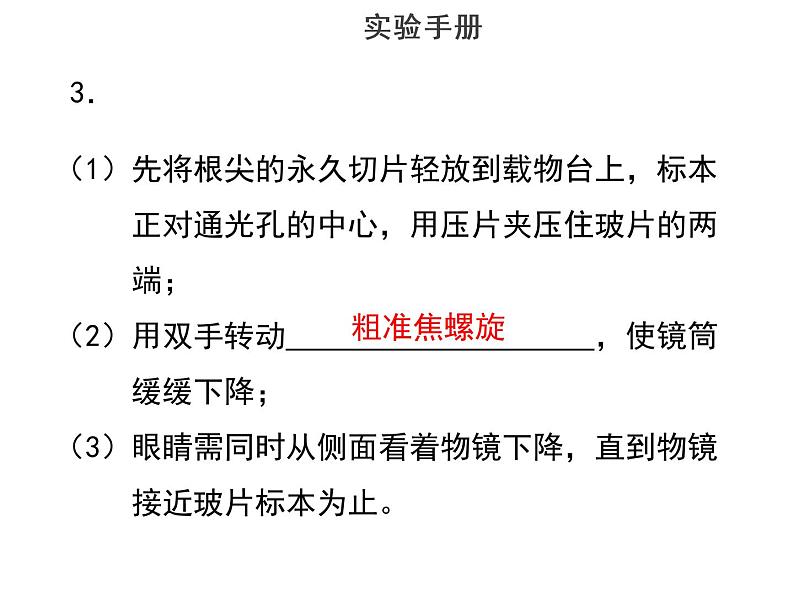 实验二使用显微镜观察根尖永久切片--2022年中考生物实验手册总复习课件PPT05