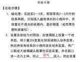 实验九验证二氧化碳是光合作用必需的原料--2022年中考生物实验手册总复习课件PPT