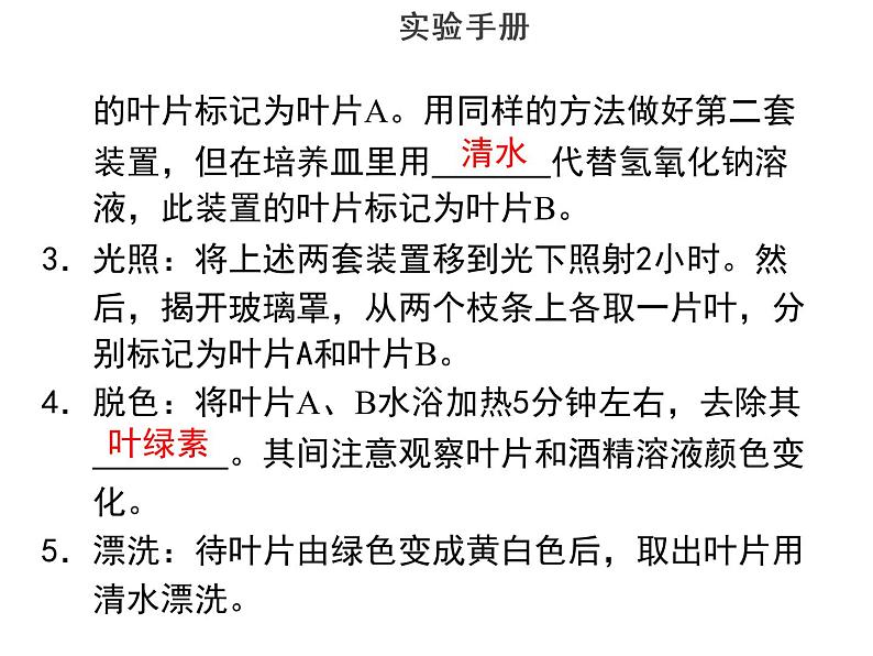 实验九验证二氧化碳是光合作用必需的原料--2022年中考生物实验手册总复习课件PPT05