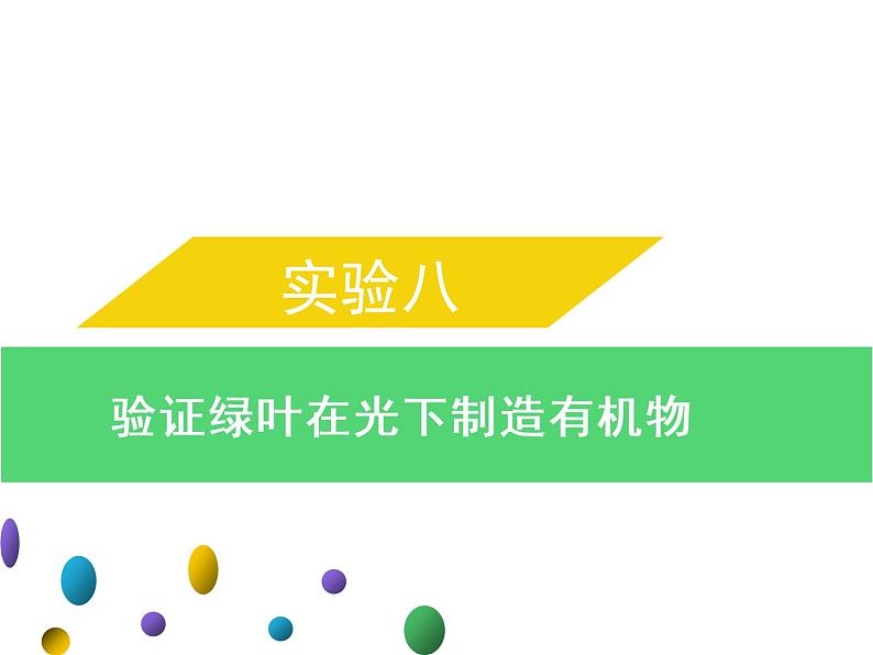 实验八验证绿叶在光下制造有机物--2022年中考生物实验手册总复习课件PPT01