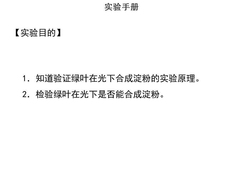 实验八验证绿叶在光下制造有机物--2022年中考生物实验手册总复习课件PPT02