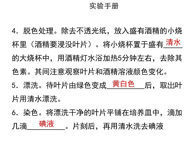 实验八验证绿叶在光下制造有机物--2022年中考生物实验手册总复习课件PPT05