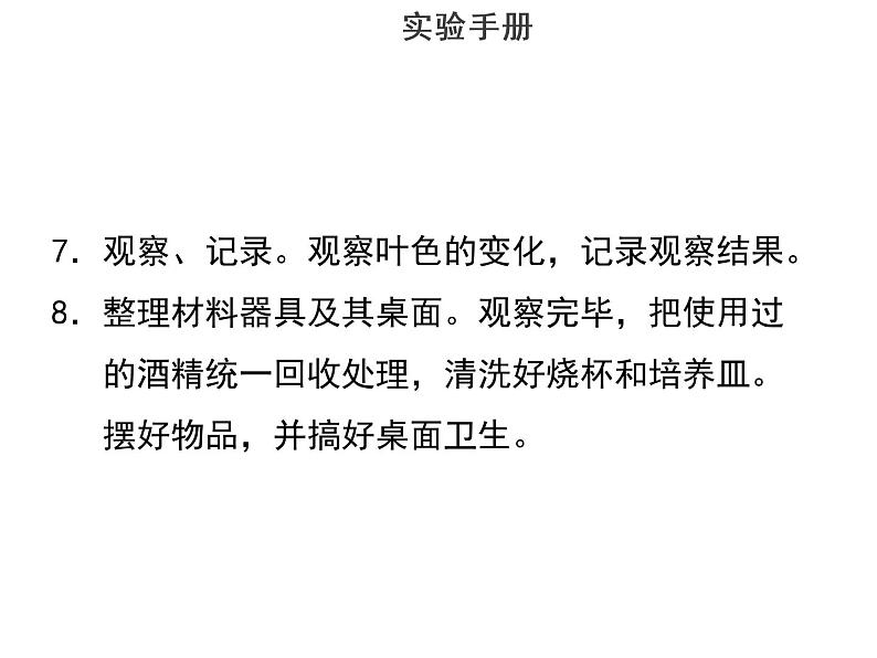 实验八验证绿叶在光下制造有机物--2022年中考生物实验手册总复习课件PPT06