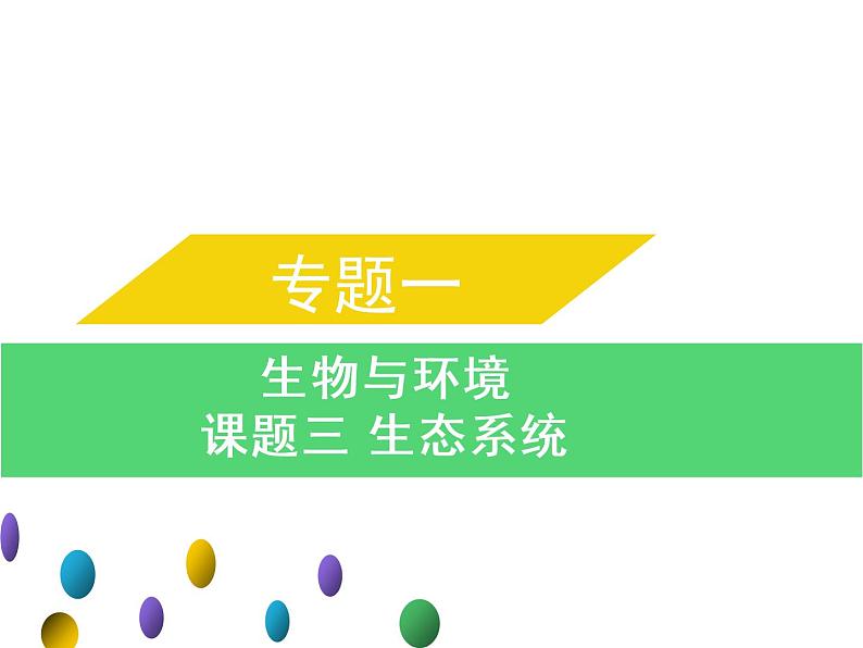 专题一课题三生态系统-课件-2022年中考生物总复习第1页