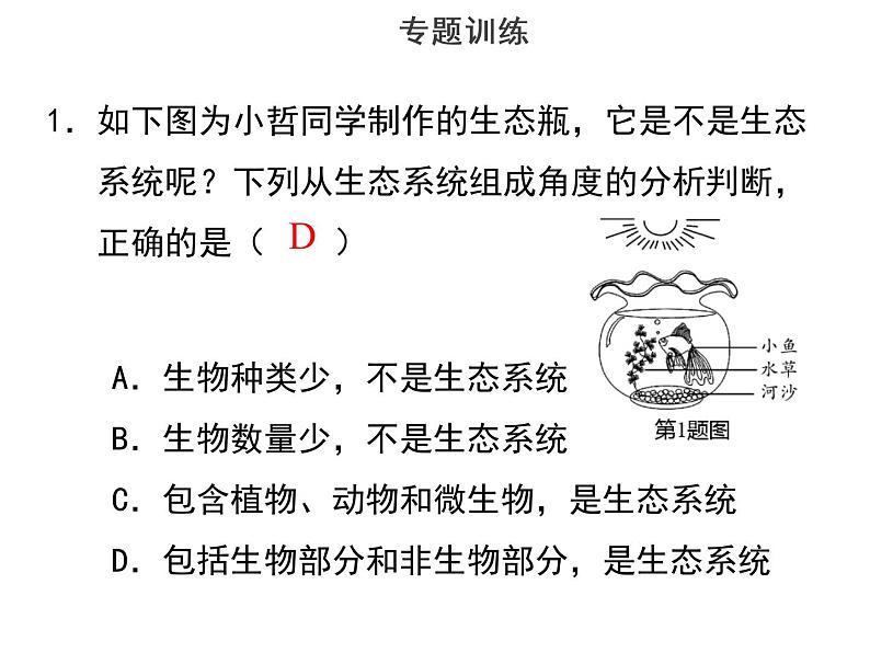 专题一课题三生态系统-课件-2022年中考生物总复习第2页