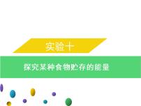 实验十探究某种食物贮存的能量--2022年中考生物实验手册总复习课件PPT