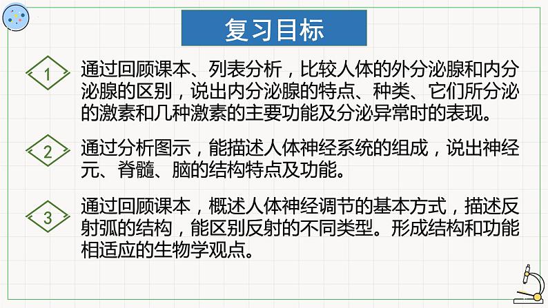 2022年中考生物专题复习：人体生命活动的调节课件03