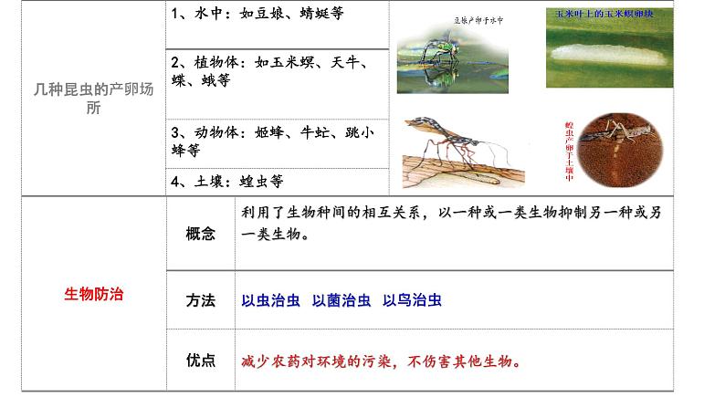 2022年中考生物专题复习：动物的生殖和发育课件第4页