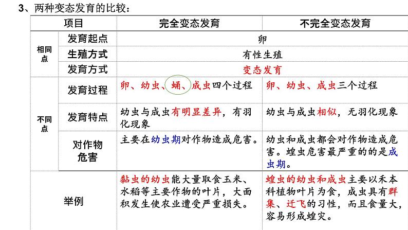 2022年中考生物专题复习：动物的生殖和发育课件第7页