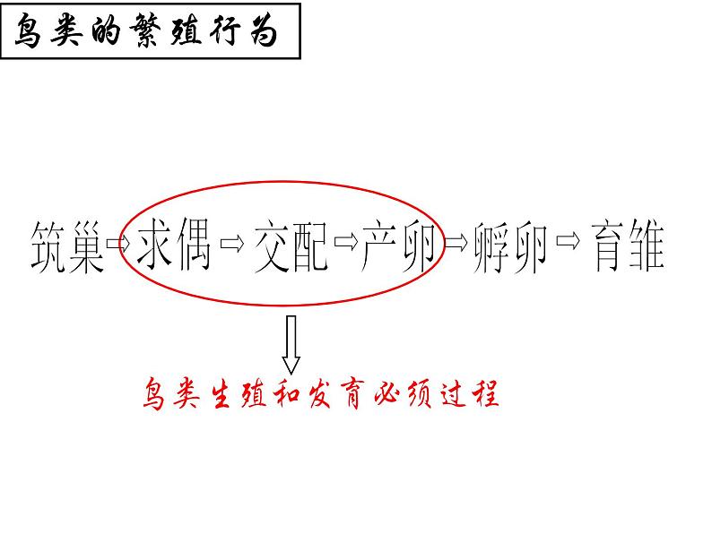 冀教版八年级下册生物  6.1.2动物的生殖和发育 课件第3页