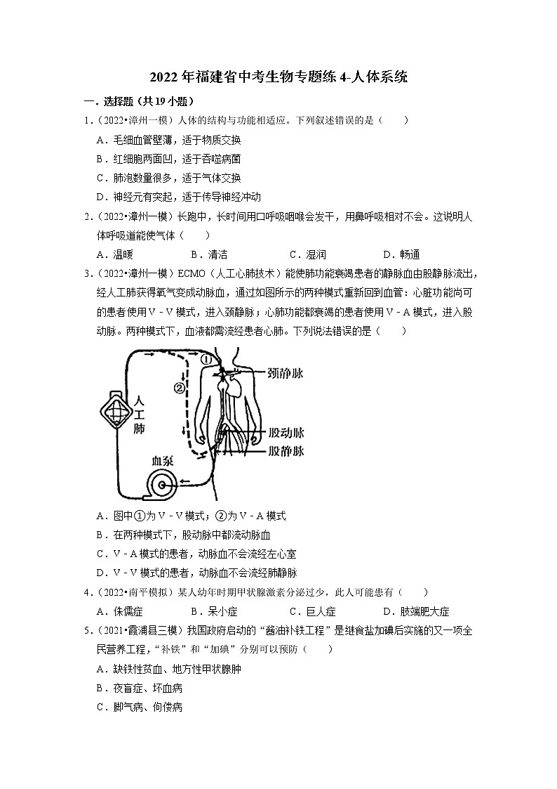 2022年福建省中考生物二轮专题练4-人体系统01
