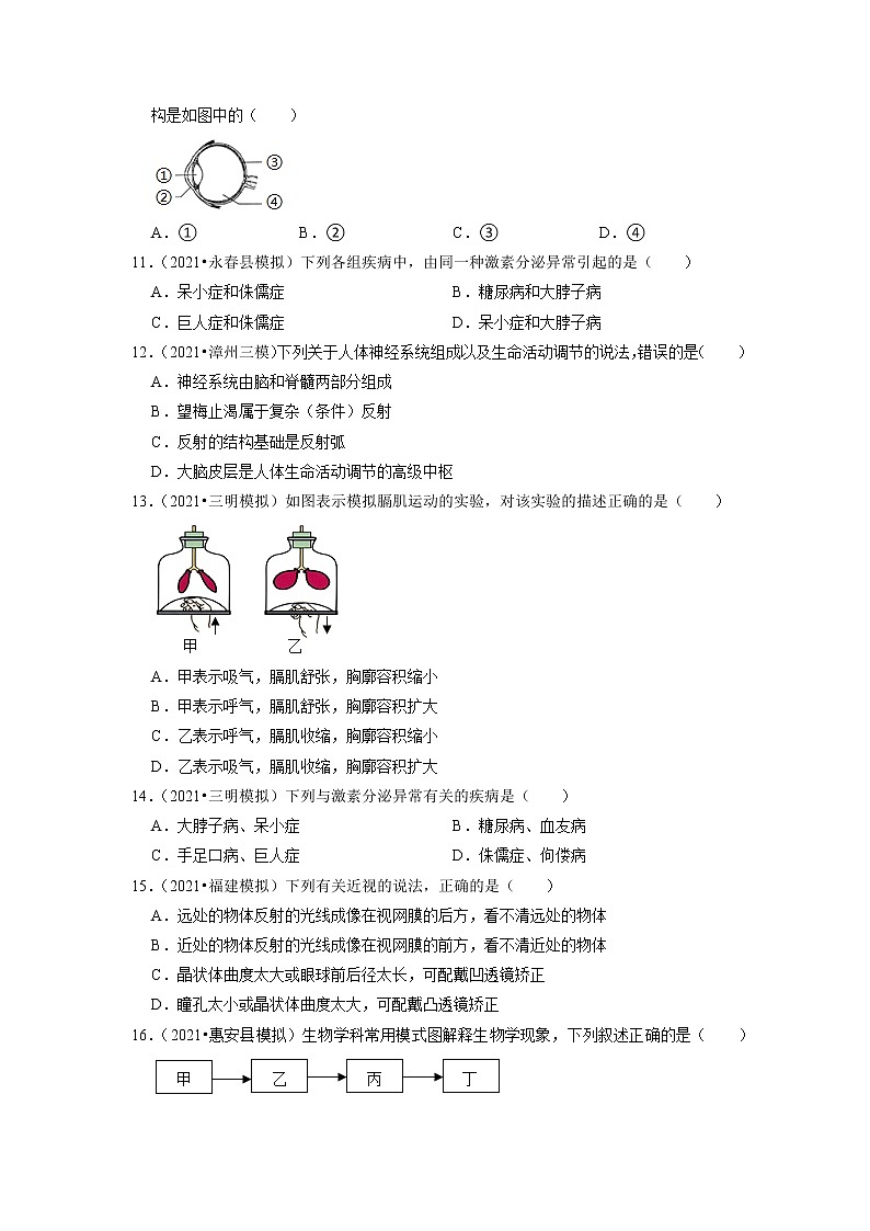 2022年福建省中考生物二轮专题练4-人体系统03