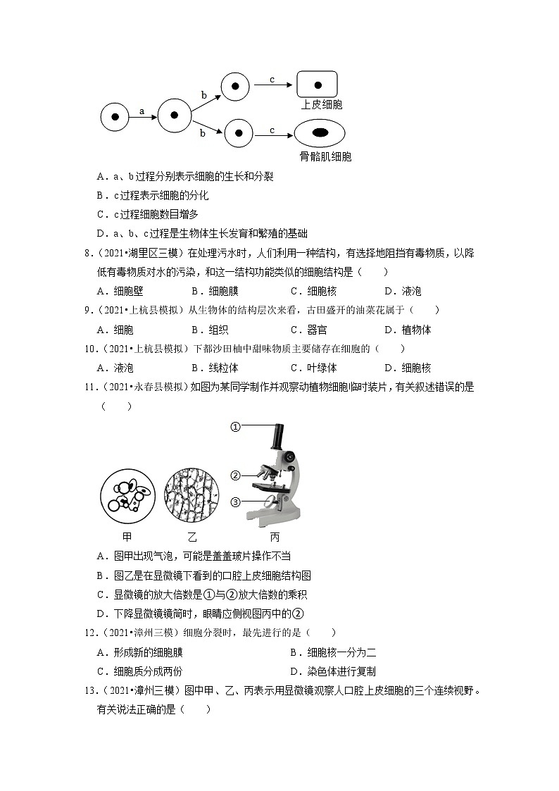 2022年福建省中考生物二轮专题练1-生命体的结构层次第2页