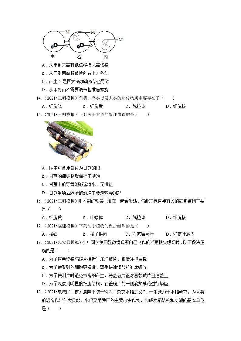 2022年福建省中考生物二轮专题练1-生命体的结构层次第3页