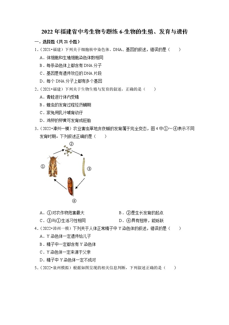 2022年福建省中考生物二轮专题练6-生物的生殖、发育与遗传01