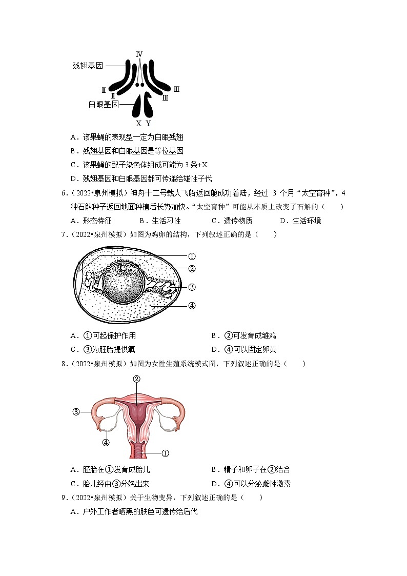 2022年福建省中考生物二轮专题练6-生物的生殖、发育与遗传02