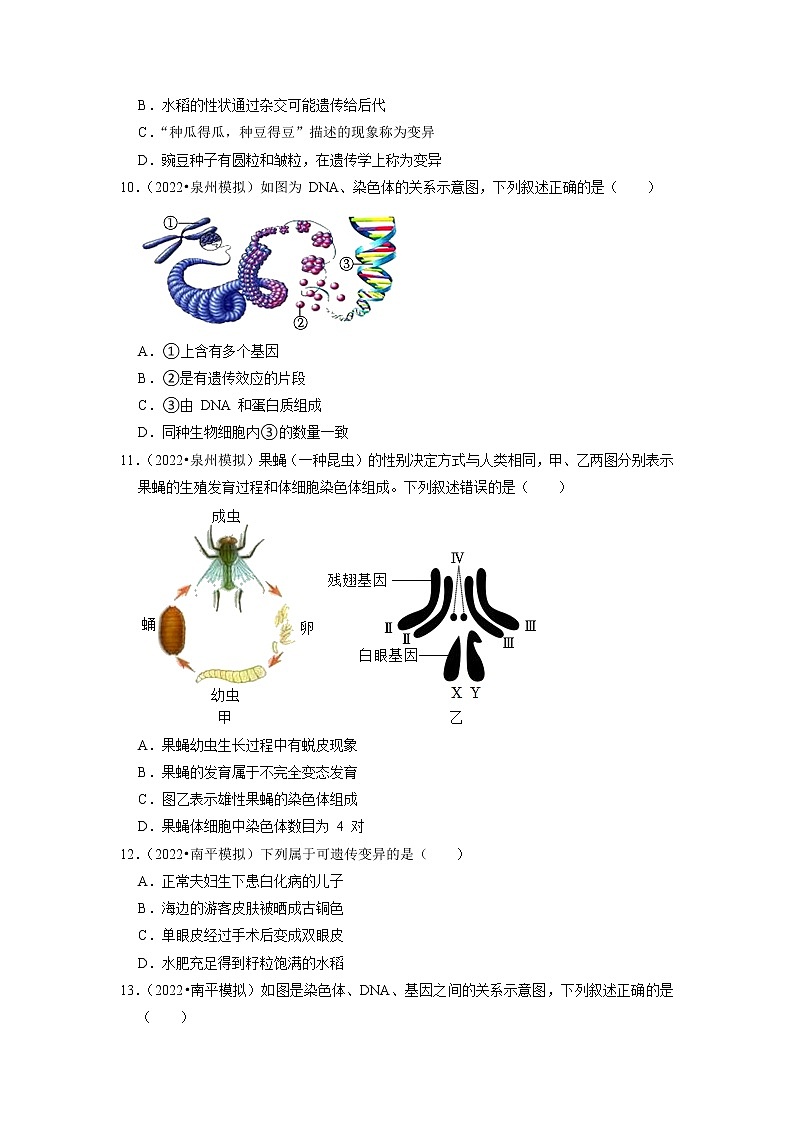 2022年福建省中考生物二轮专题练6-生物的生殖、发育与遗传03