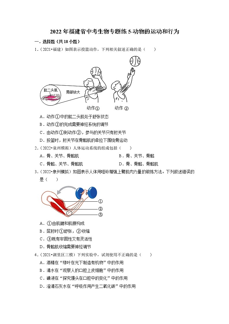 2022年福建省中考生物二轮专题练5-动物的运动和行为01