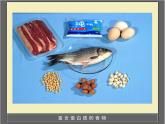 济南版七年级下册生物 1.1食物的营养成分 课件