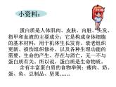 济南版七年级下册生物 1.1食物的营养成分 课件