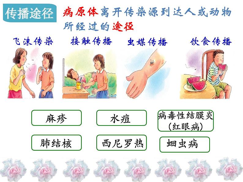 济南版七年级下册生物 6.2传染病及其预防 课件08